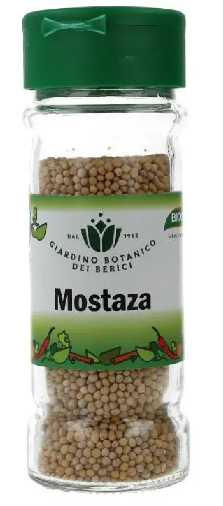 condimento mostaza grano biocop 60 g