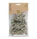 Salvia  BIO b 40gr