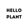 HELLO PLANT